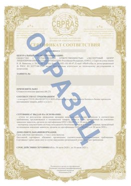 Образец Сертификат СТО 01.064.00220722.2-2020 Самара Сертификат СТО 01.064.00220722.2-2020 